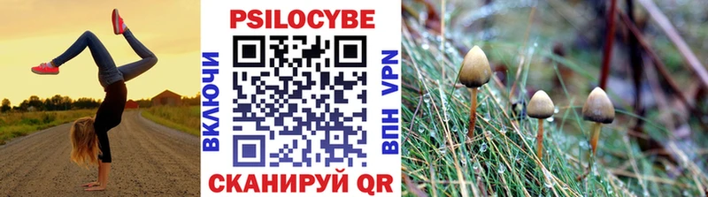 Купить закладки  Артёмовск  Псилоцибиновые грибы Magic Shrooms 